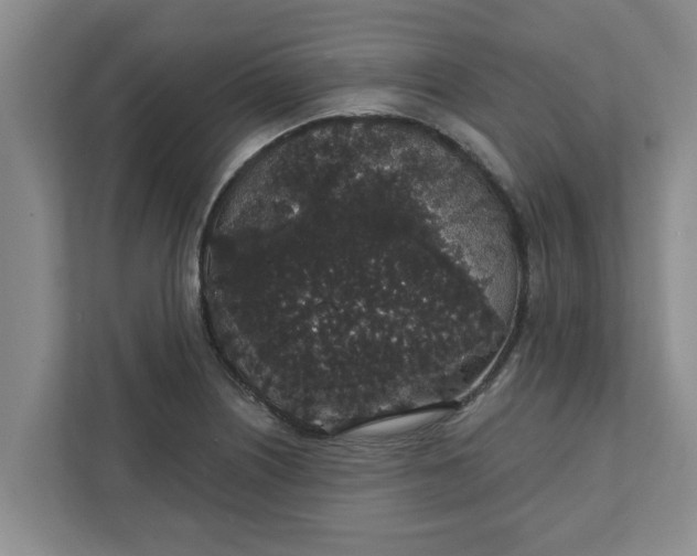 X0000111831226200908061149