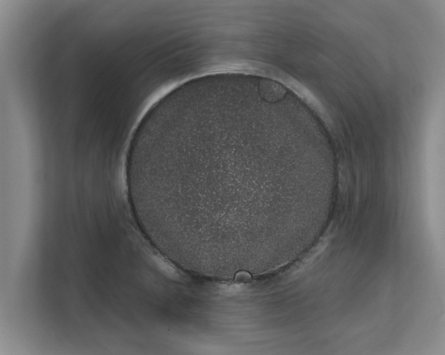 X0000111831230200908061149