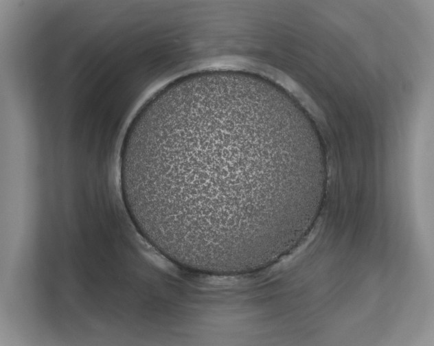 X0000111831232200908061149