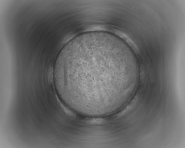 X0000111831233200908061149