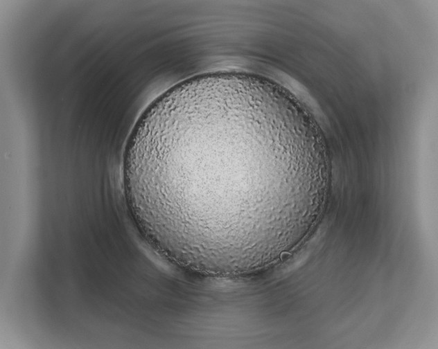 X0000111831234200908061149