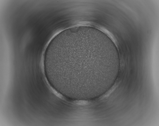 X0000111831235200908061149