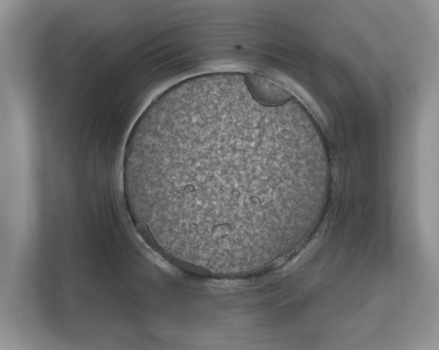 X0000111831236200908061149