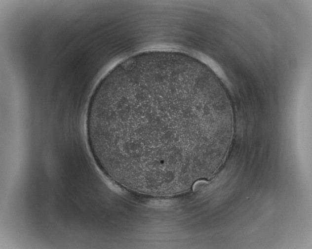 X0000111831237200908061149