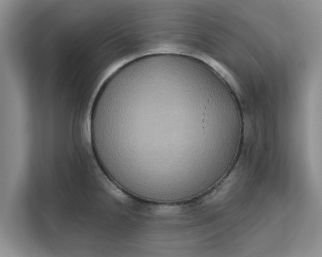 X0000111831238200908061149