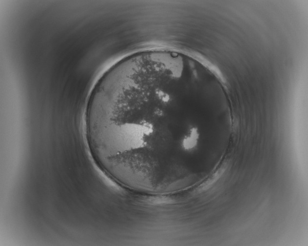 X0000111831239200908061149