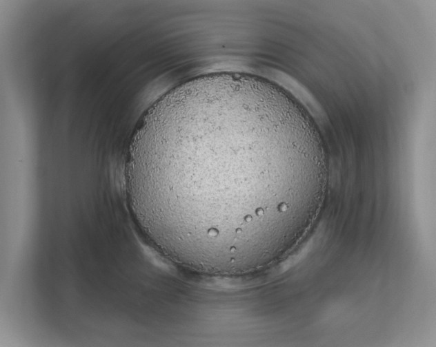 X0000111831241200908061149
