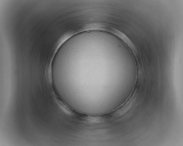 X0000111831242200908061149