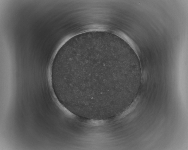 X0000111831243200908061149