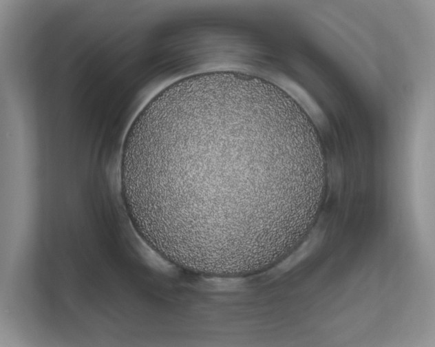 X0000111831244200908061149