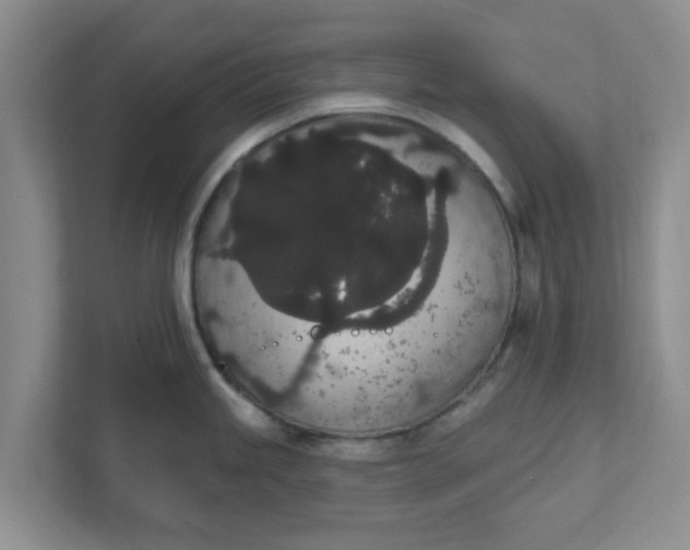 X0000111831245200908061149