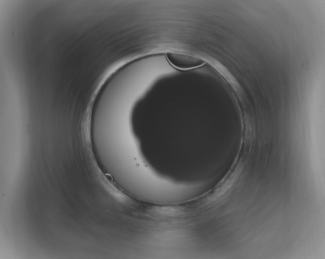 X0000111831246200908061149