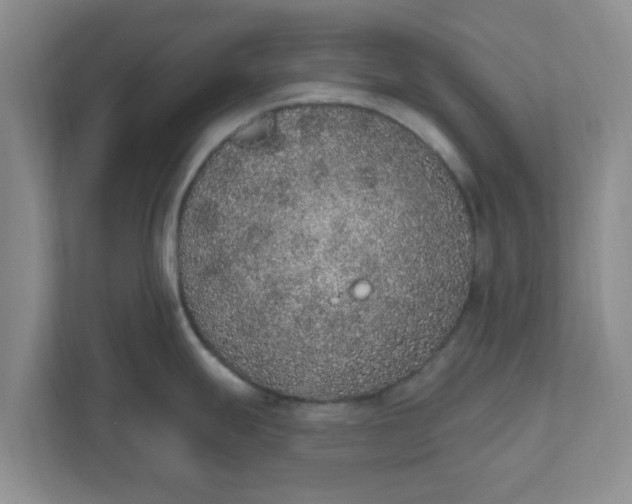 X0000111831247200908061149