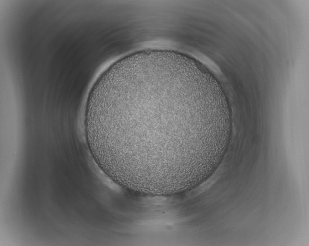 X0000111831248200908061149