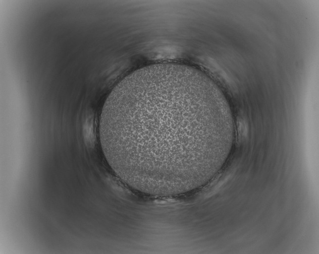 X0000111831250200908061148