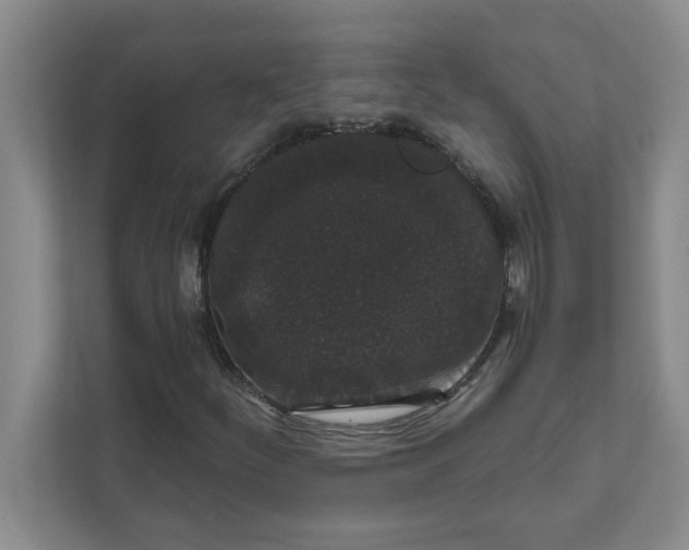 X0000111831252200908061148