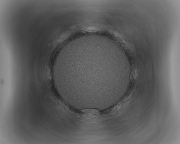 X0000111831253200908061148