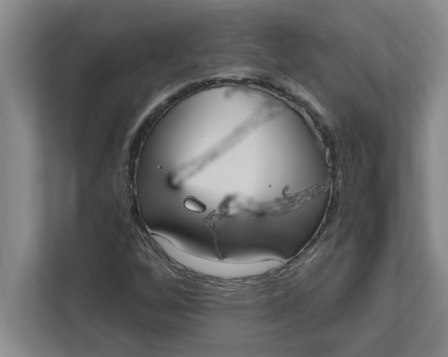 X0000111831256200908061148