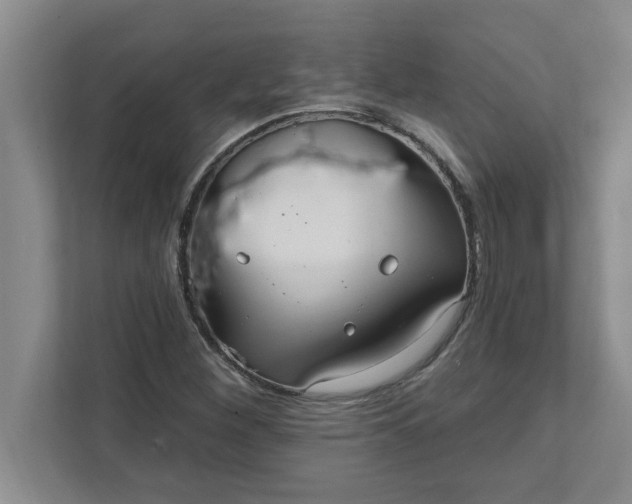 X0000111831260200908061148