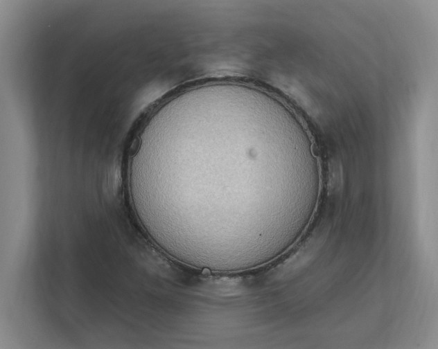 X0000111831261200908061148