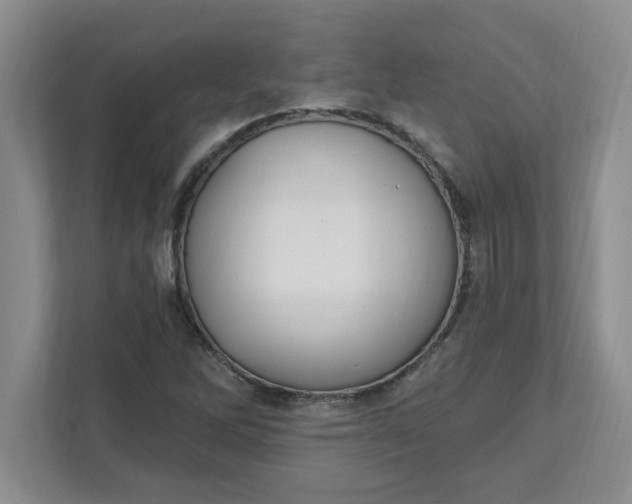 X0000111831262200908061148