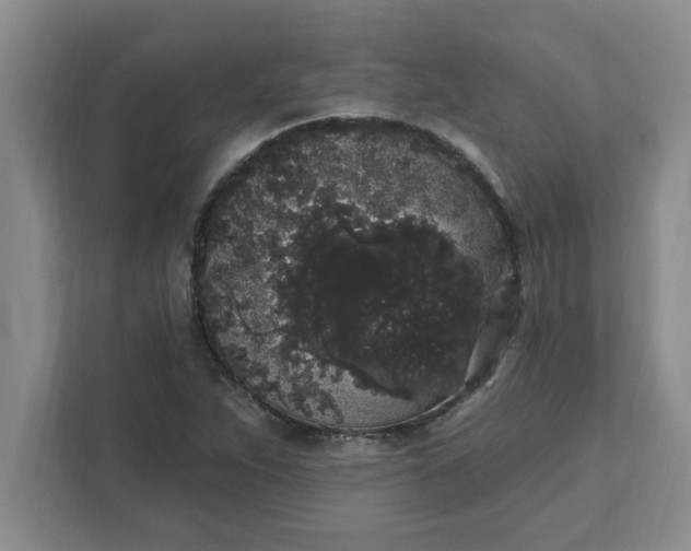 X0000111831263200908061148