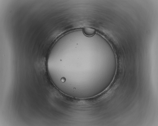 X0000111831265200908061148