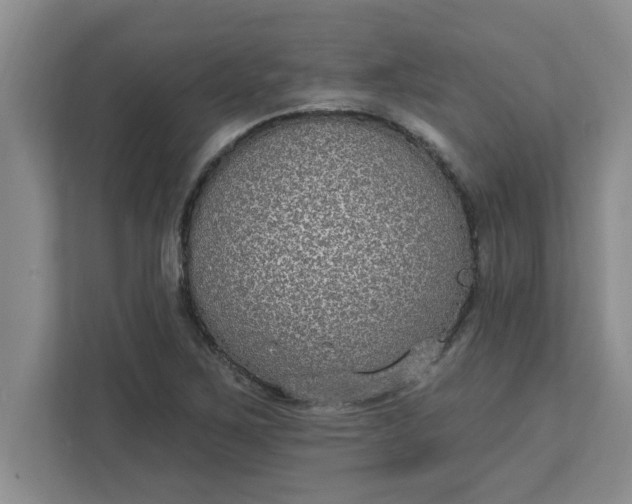 X0000111831267200908061148