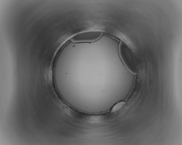 X0000111831268200908061148