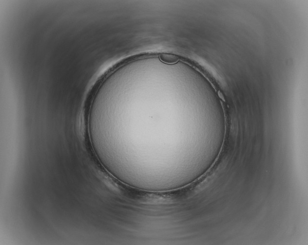 X0000111831270200908061148