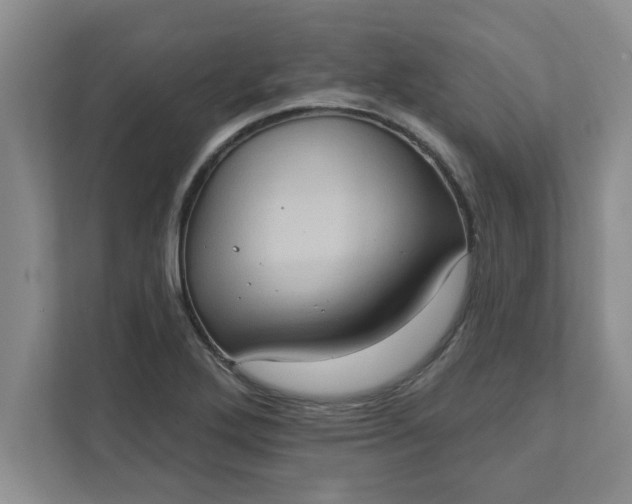 X0000111831272200908061148