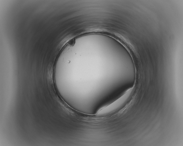 X0000111831273200908061148