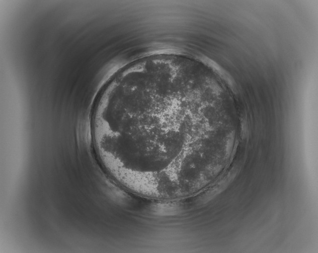 X0000111831274200908061148