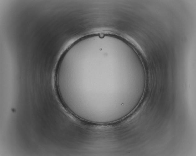X0000111831277200908061148
