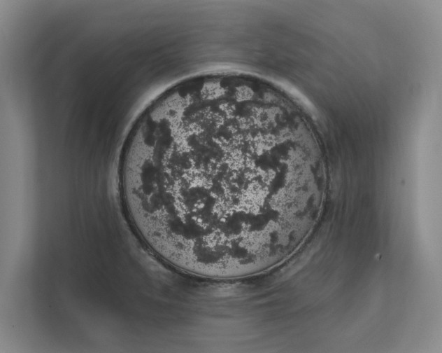 X0000111831279200908061148