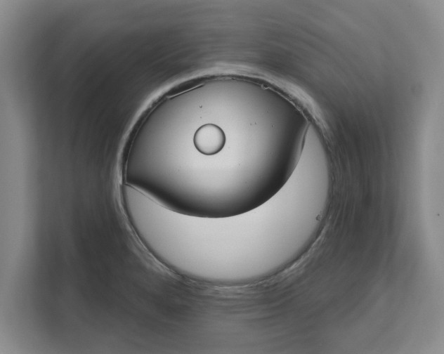 X0000111831280200908061148