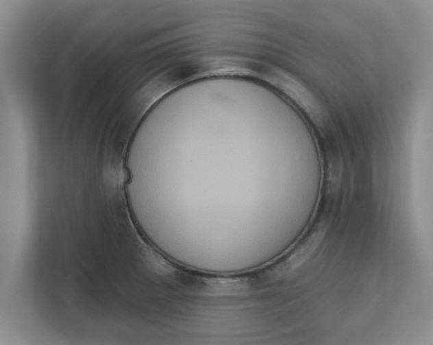 X0000111831281200908061148