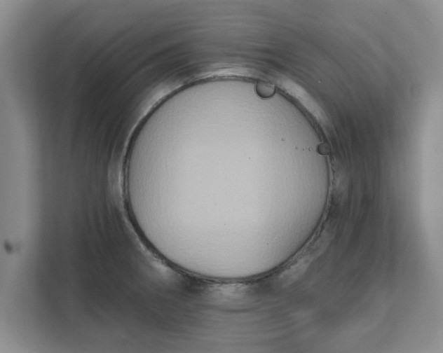 X0000111831282200908061148