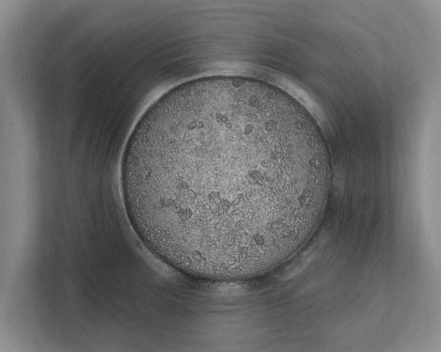 X0000111831283200908061148