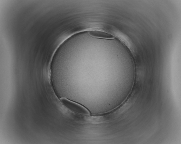 X0000111831284200908061148