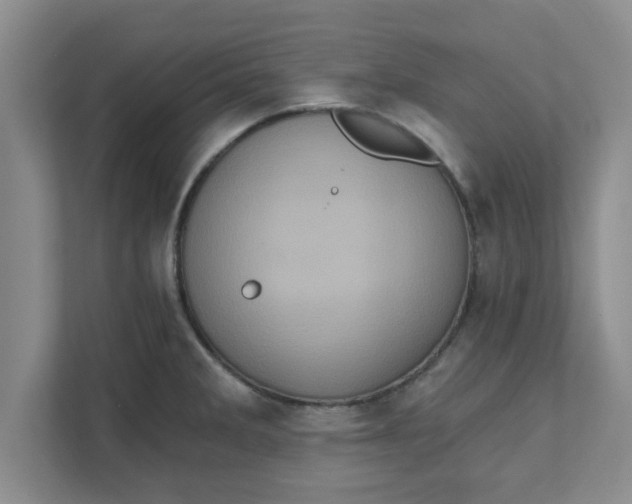 X0000111831285200908061148