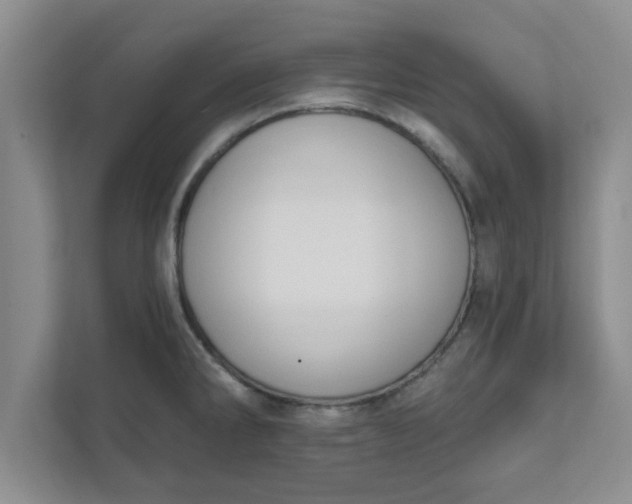 X0000111831286200908061148