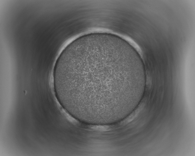 X0000111831287200908061148