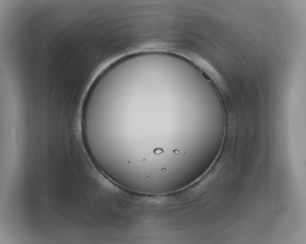 X0000111831288200908061148