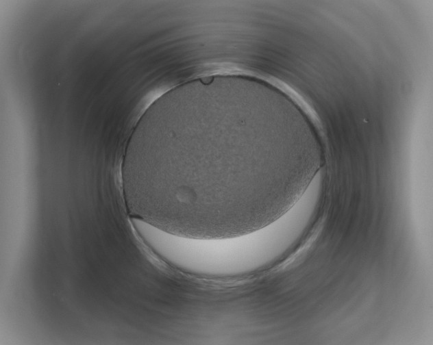 X0000111831289200908061148