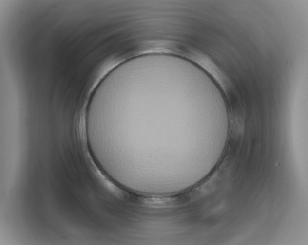 X0000111831290200908061148