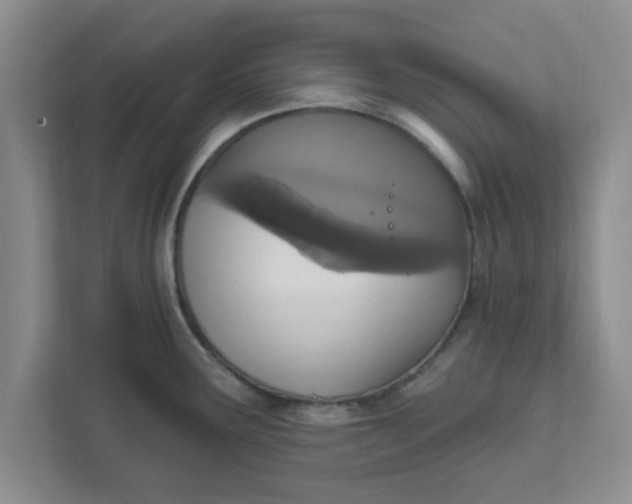 X0000111831291200908061148