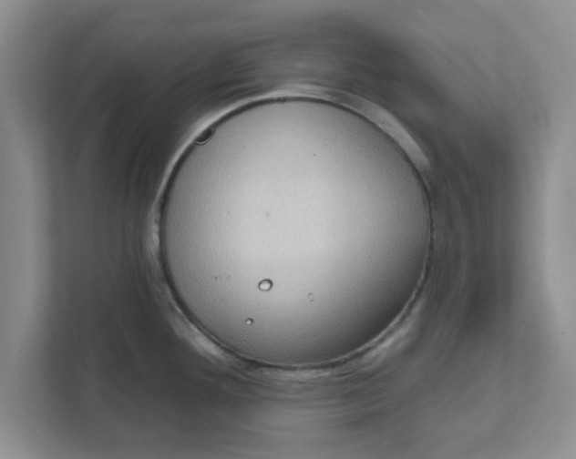 X0000111831292200908061148