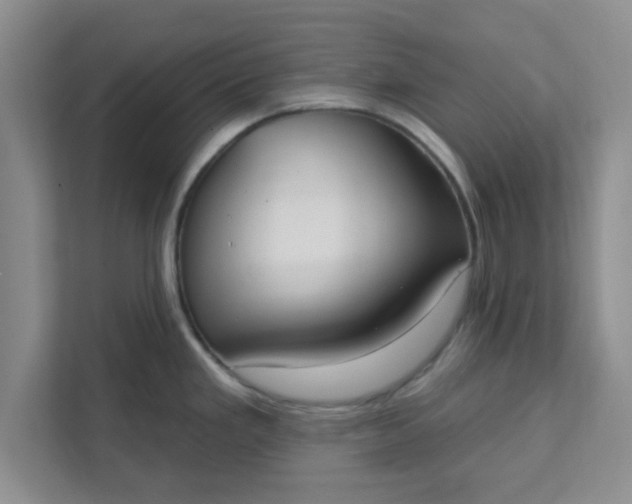 X0000111831293200908061148