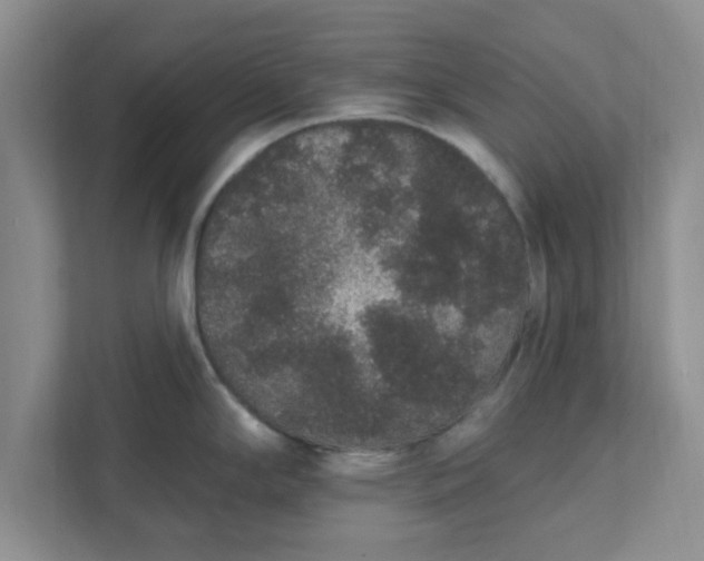 X0000111831294200908061148